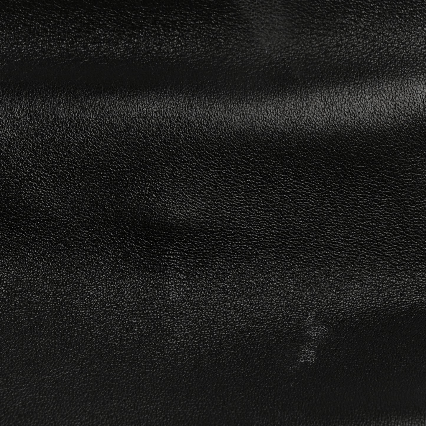 Goatskin Quilted Medium Chanel 19 Flap Black