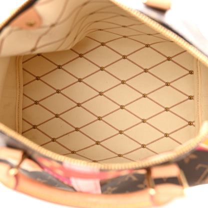 Louis Vuitton Monogram Summer Trunks Speedy Bandouliere 30 5 of 11