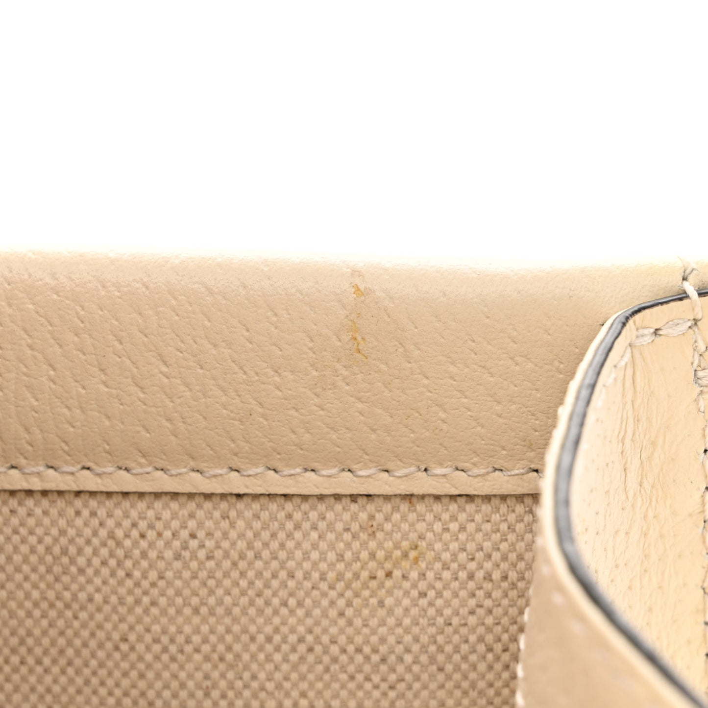 Textured Calfskin Crystal Mini Dionysus Shoulder Bag Mystic White