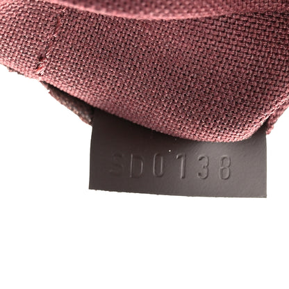 Louis Vuitton Damier Ebene Iena MM 8 of 12
