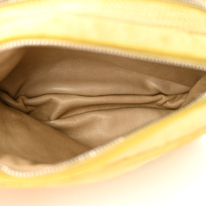 The Row Ostrich Lizard Mini Twin Crossbody Bag Yellow 11 of 15