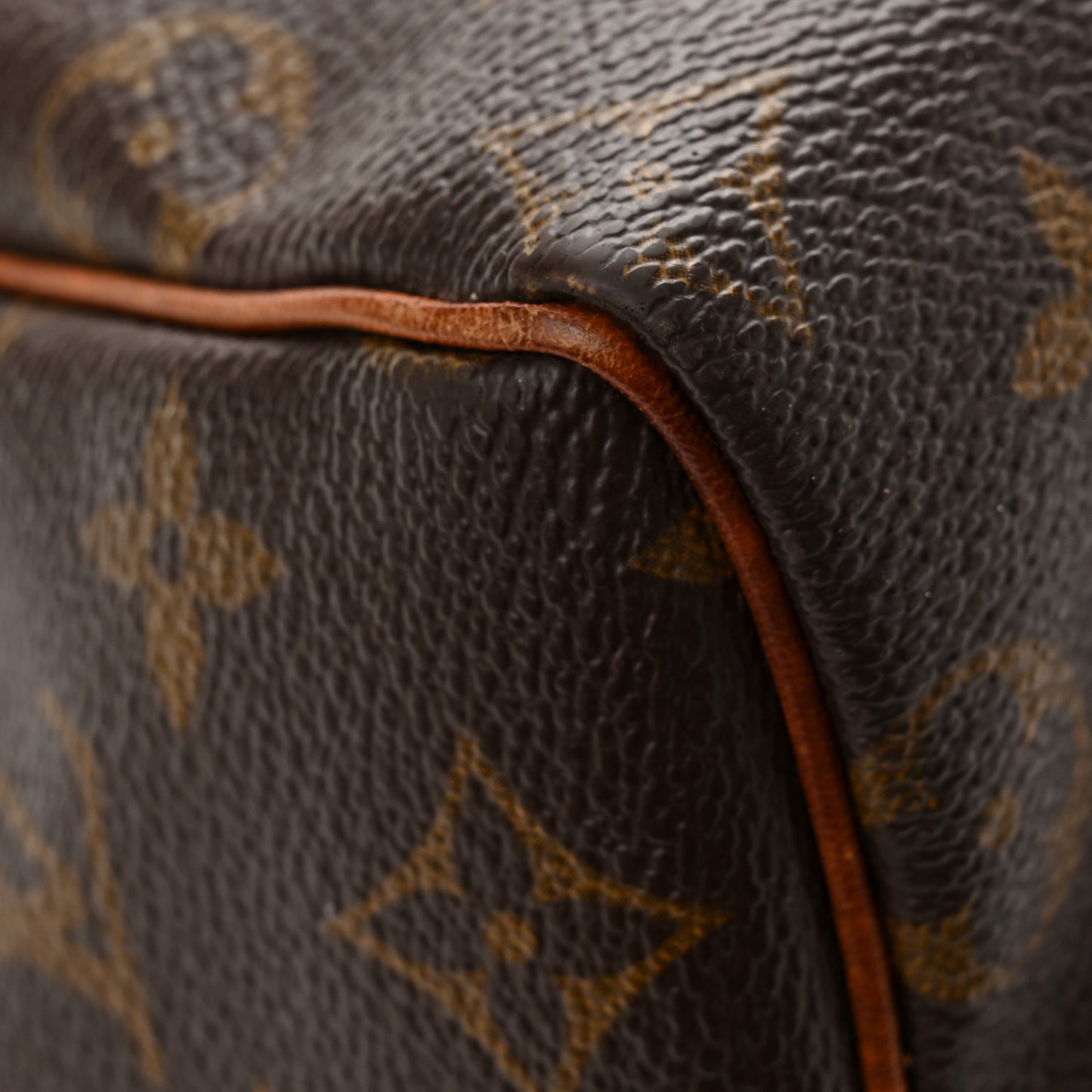 Monogram Speedy 25