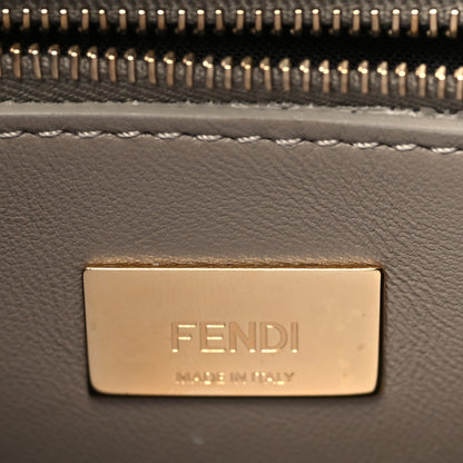 Fendi Vitello Seta Shiny Nappa Plexiglass Tortoise Mini Peekaboo Iconic Satchel Tortora 6 of 10