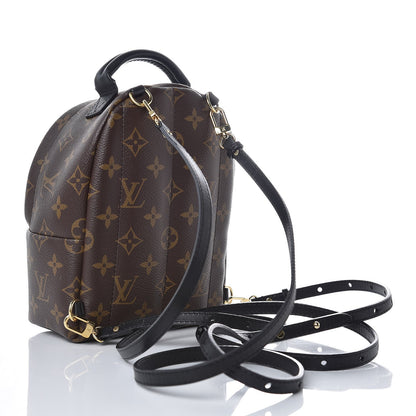 Louis Vuitton Monogram Palm Springs Backpack Mini 3 of 6