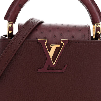 Louis Vuitton Taurillon Ostrich Mini Capucines Bordeaux 7 of 10