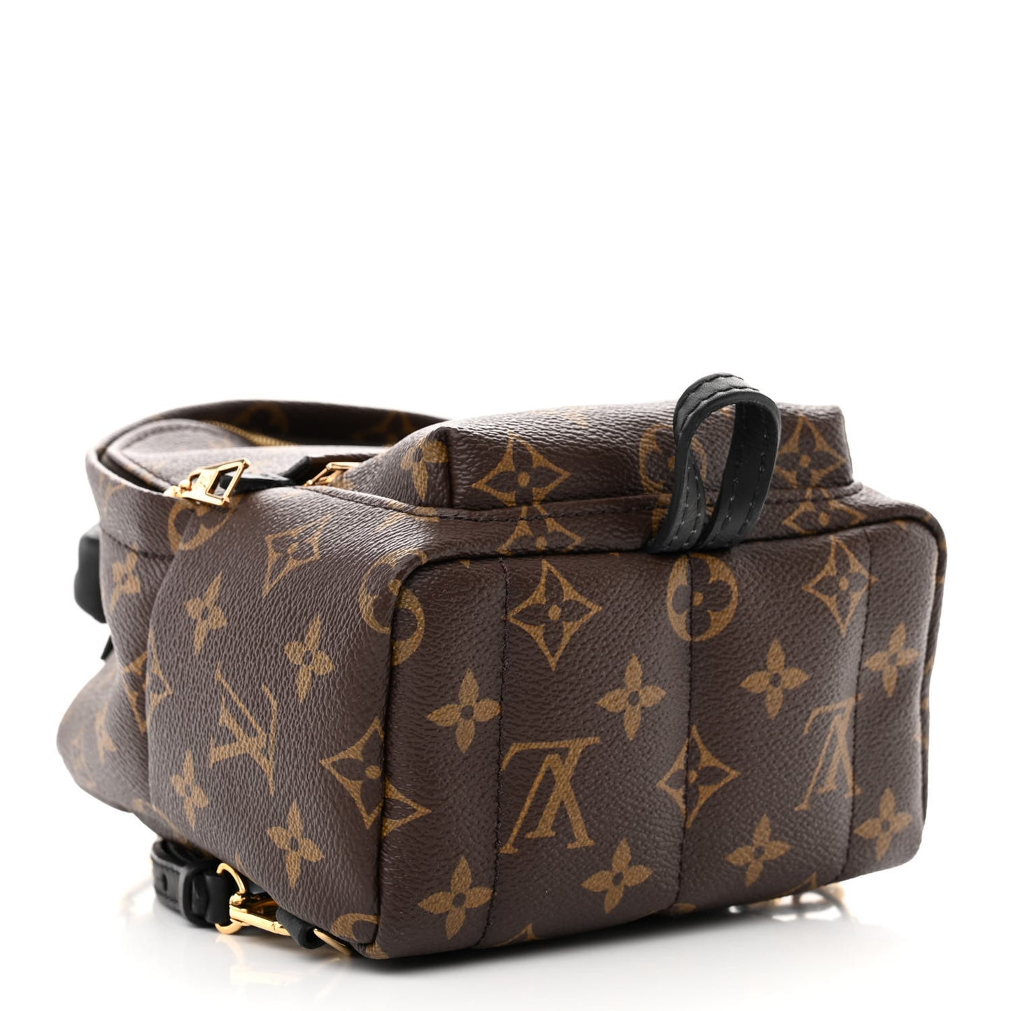 Monogram Palm Springs Backpack Mini
