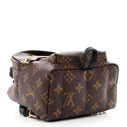Louis Vuitton Monogram Palm Springs Backpack Mini 4 of 10