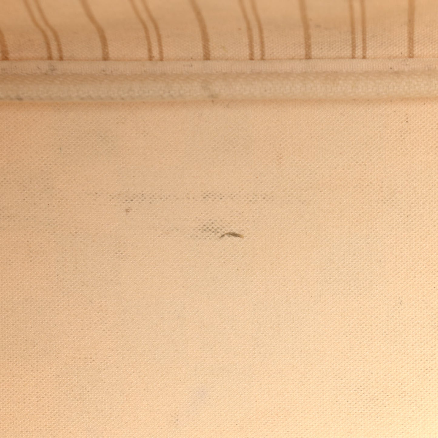 Damier Azur Neo Neverfull PM