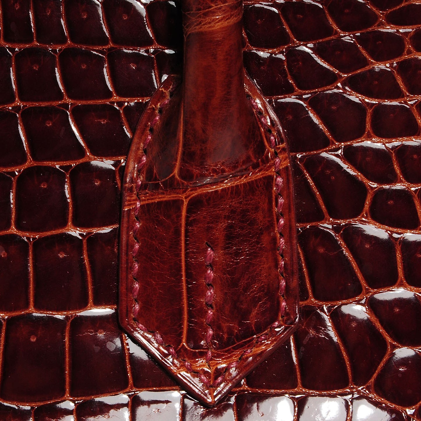 Shiny Porosus Crocodile Birkin 35 Miel