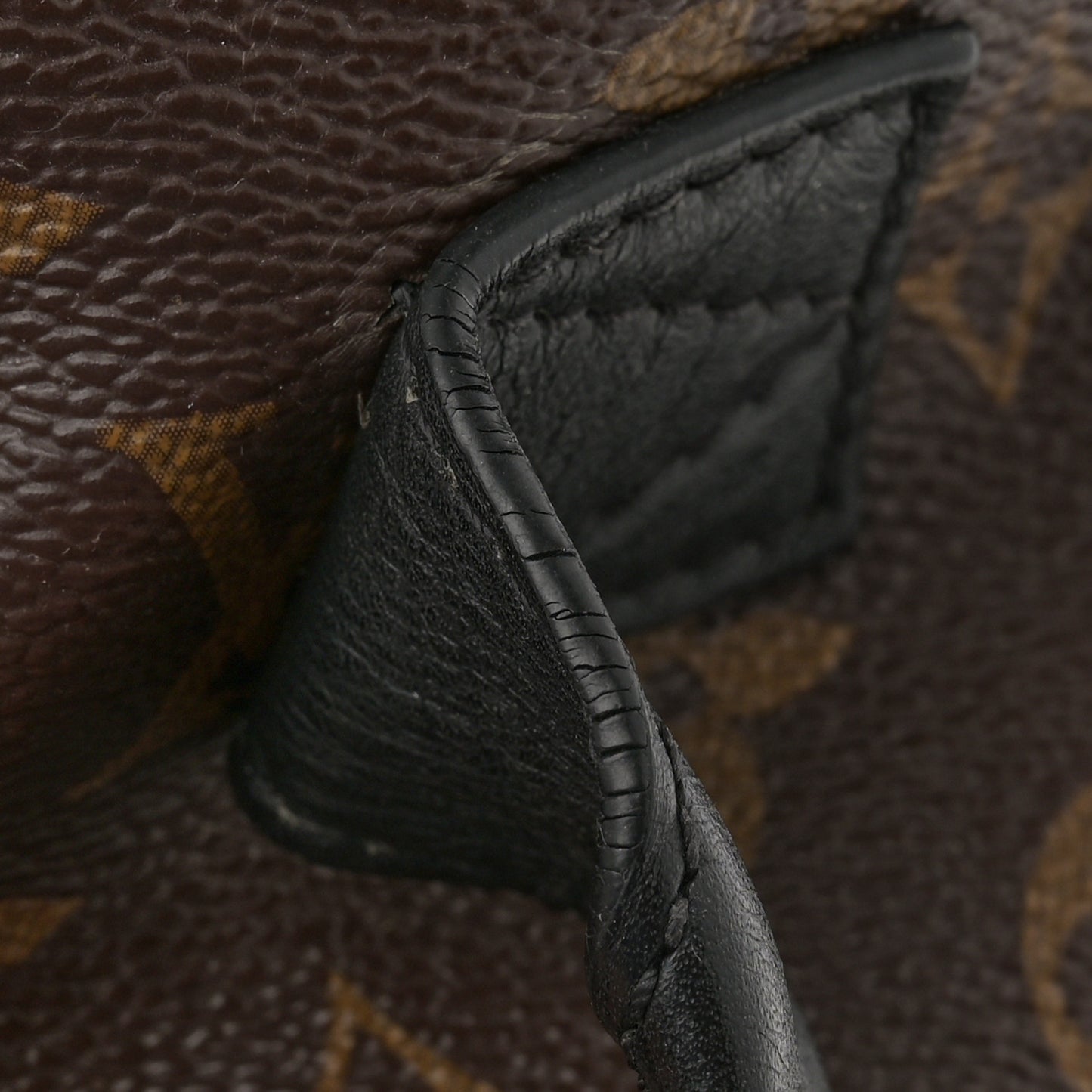 Reverse Monogram Palm Springs Backpack PM