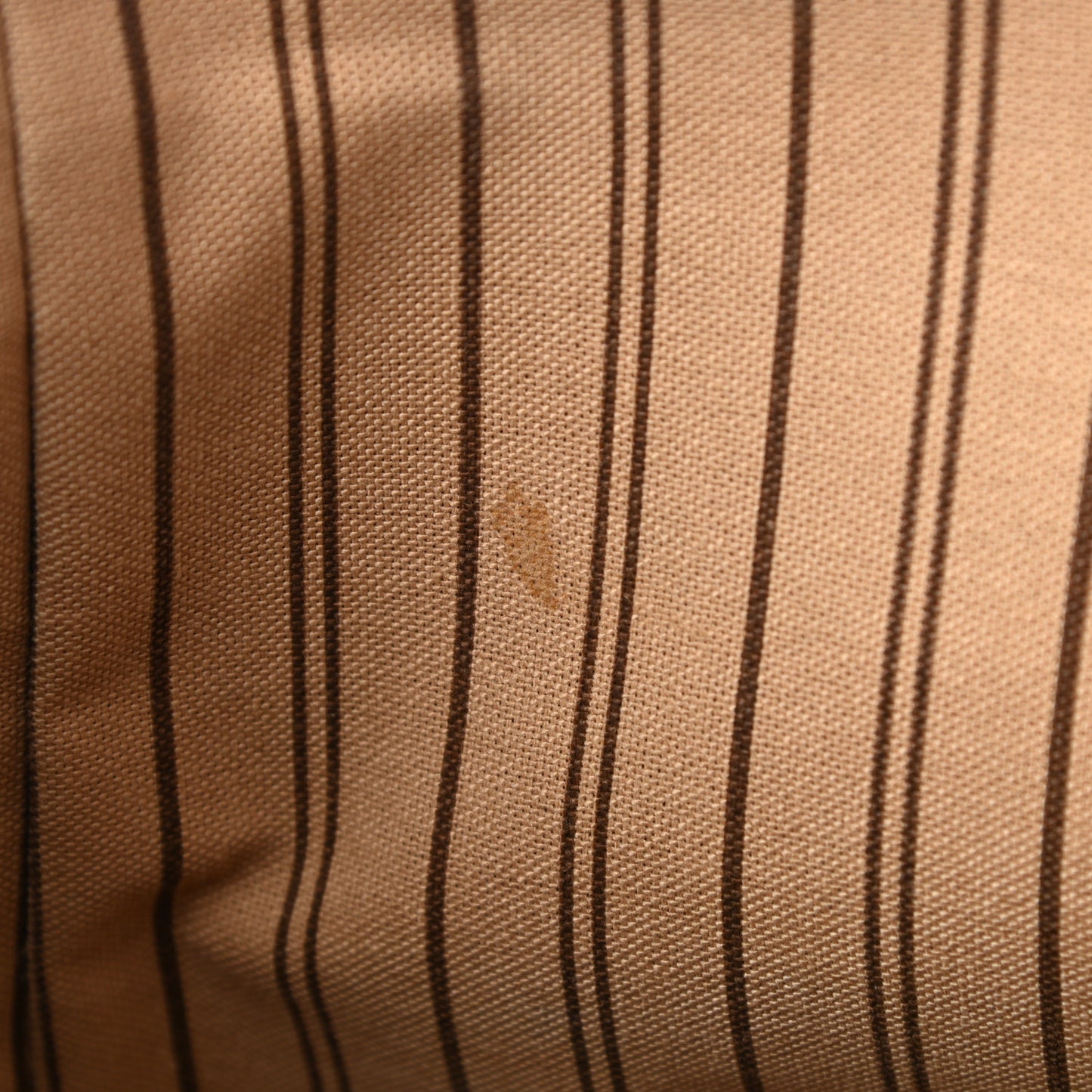 Monogram Delightful PM