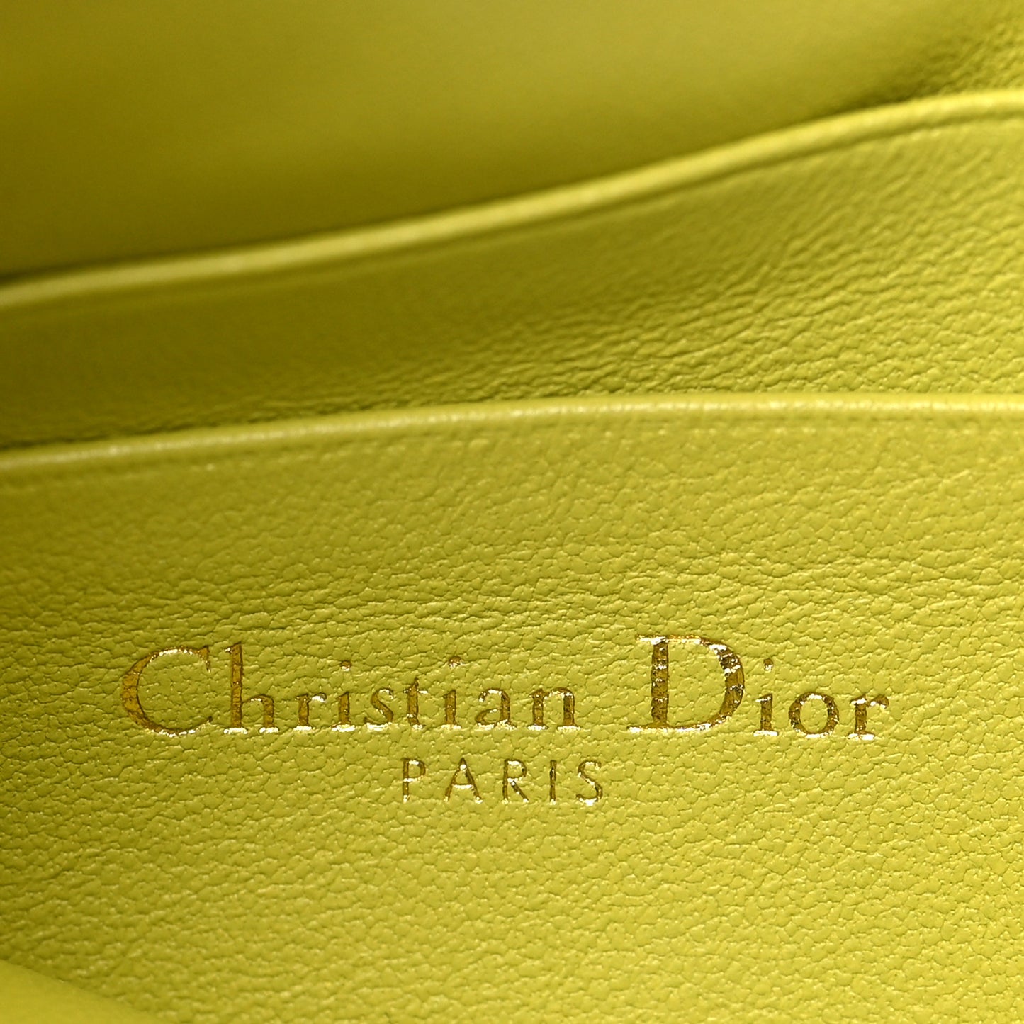 Supple Calfskin Cannage Caro Multifunctional Pouch Lime
