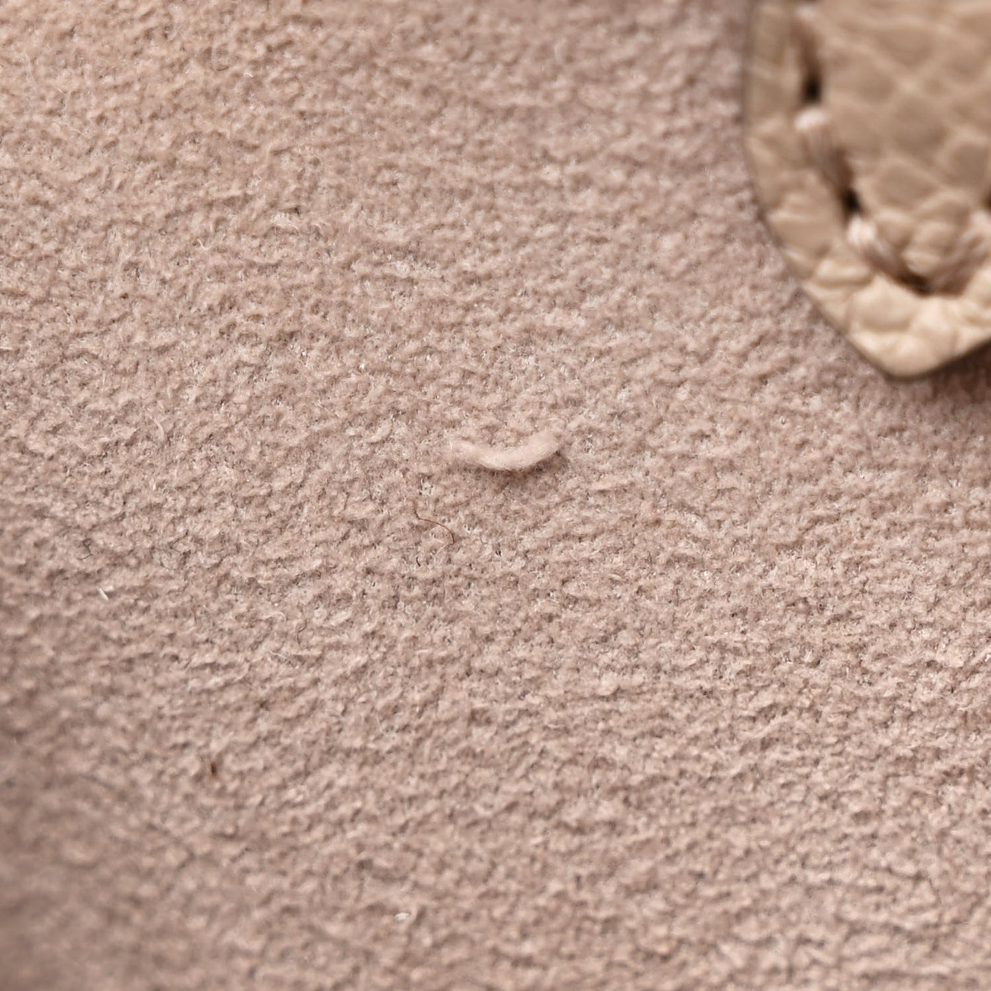 Empreinte Monogram Giant Onthego PM Tourterelle Creme