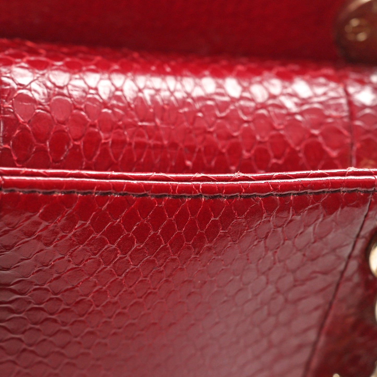 Snakeskin Gradient Mini Lady Dior Red