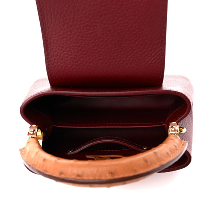 Louis Vuitton Taurillon Ostrich Mini Capucines Griotte Red Honey 5 of 9