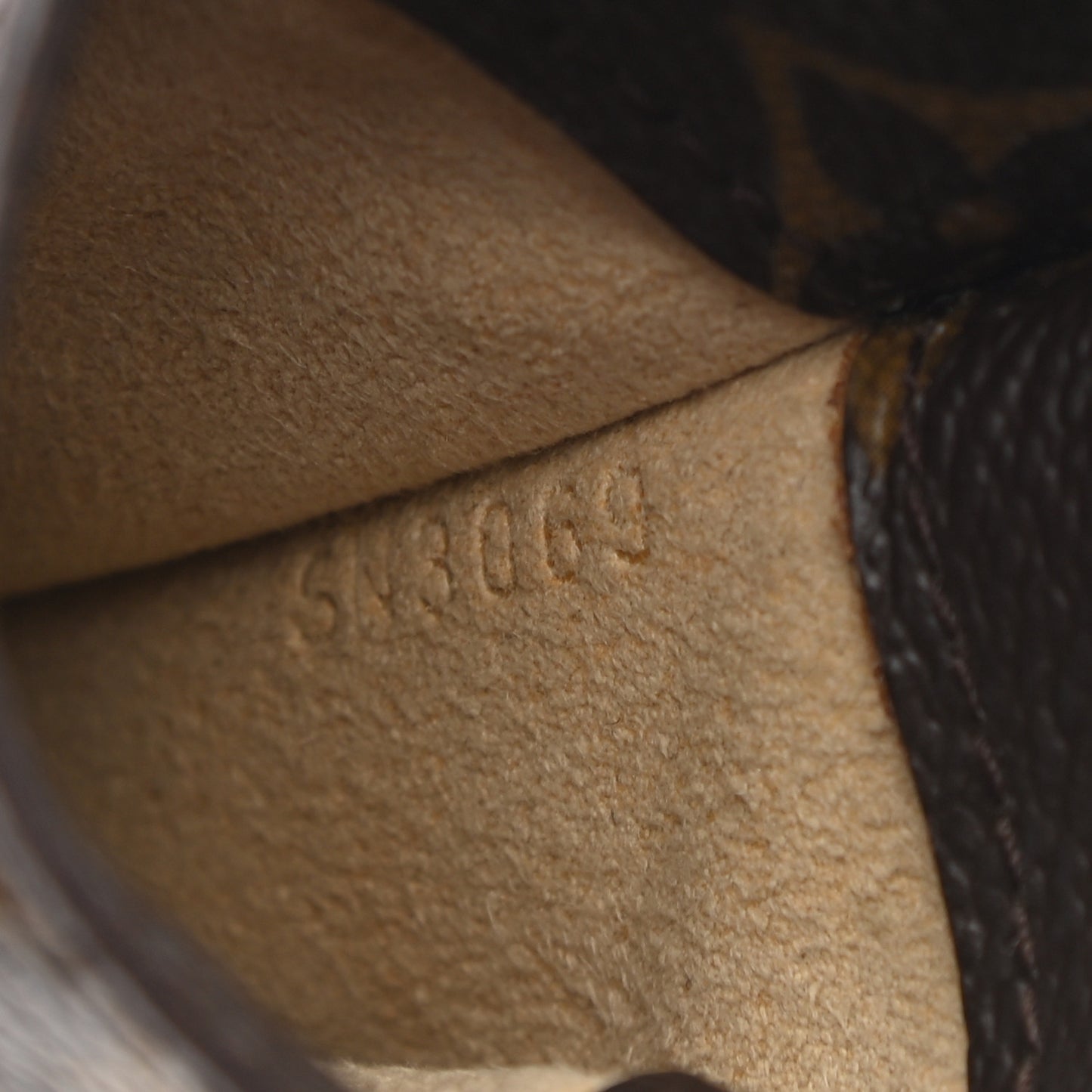 Monogram Sunglasses Case MM