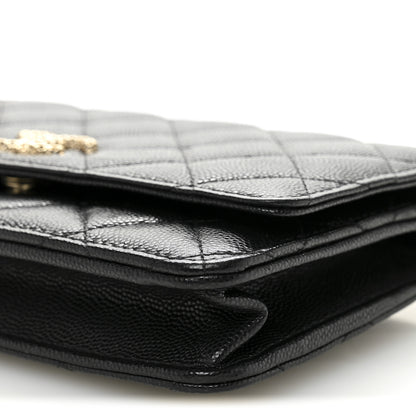 Chanel Caviar Quilted Perforated Metal CC Wallet On Chain WOC Black 11 of 13
