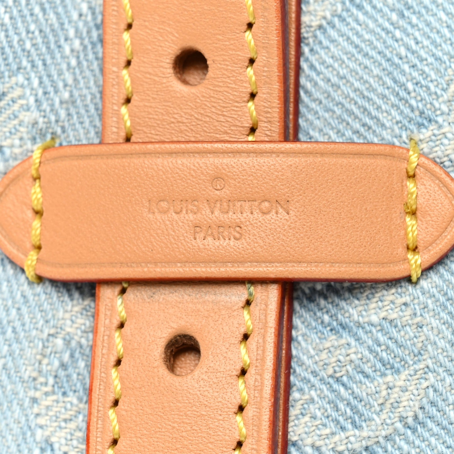 Monogram Denim CarryAll PM Sky Blue