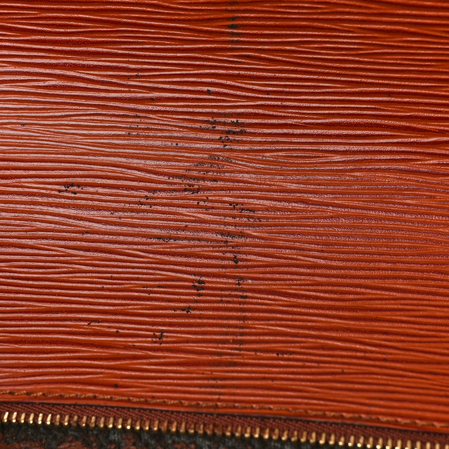 Epi Monceau BB Kenyan Fawn