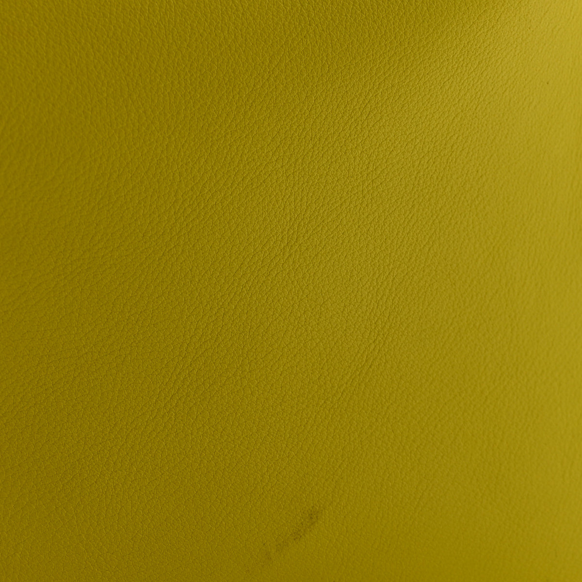 Evercolor Lindy 30 Lime