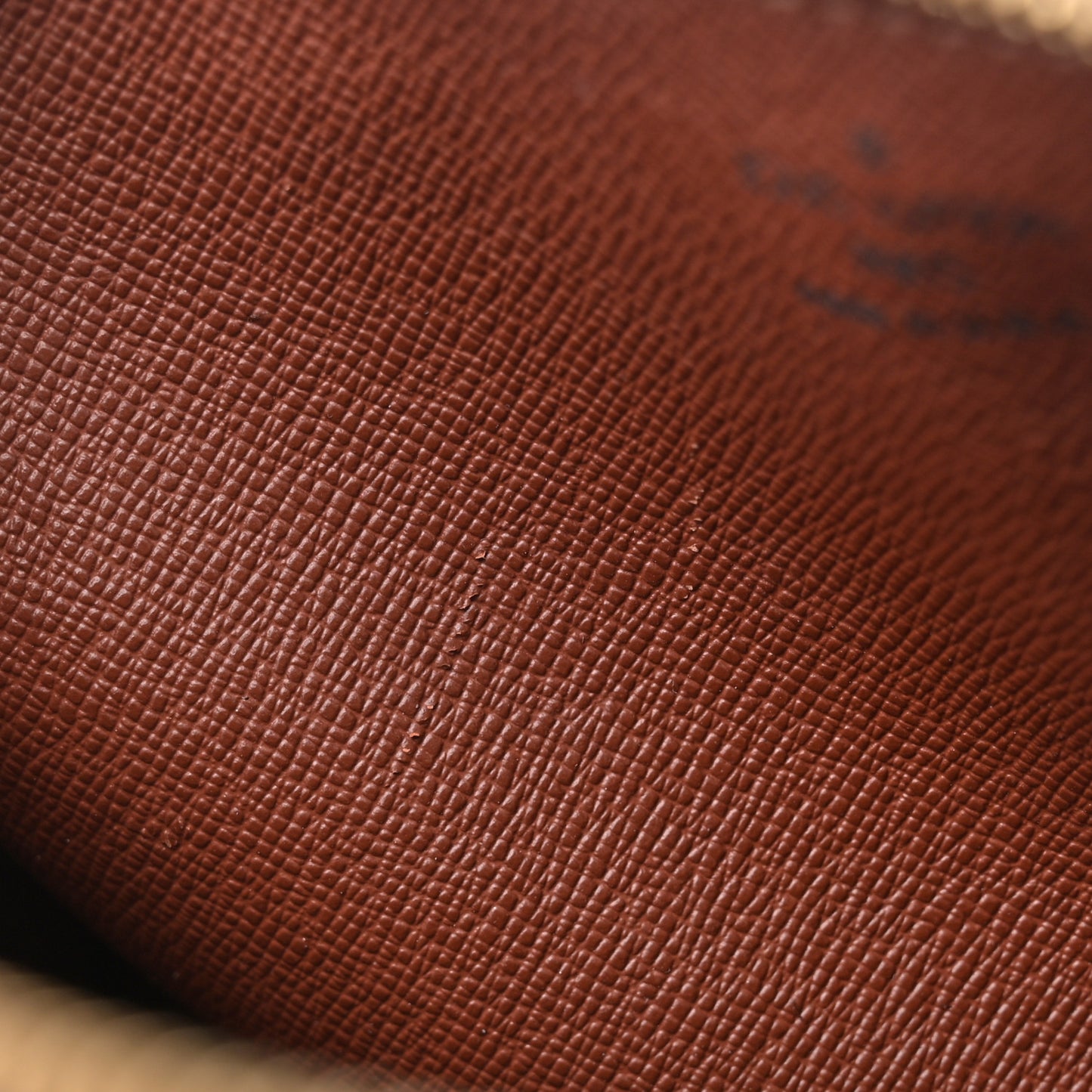 Monogram Papillon 26