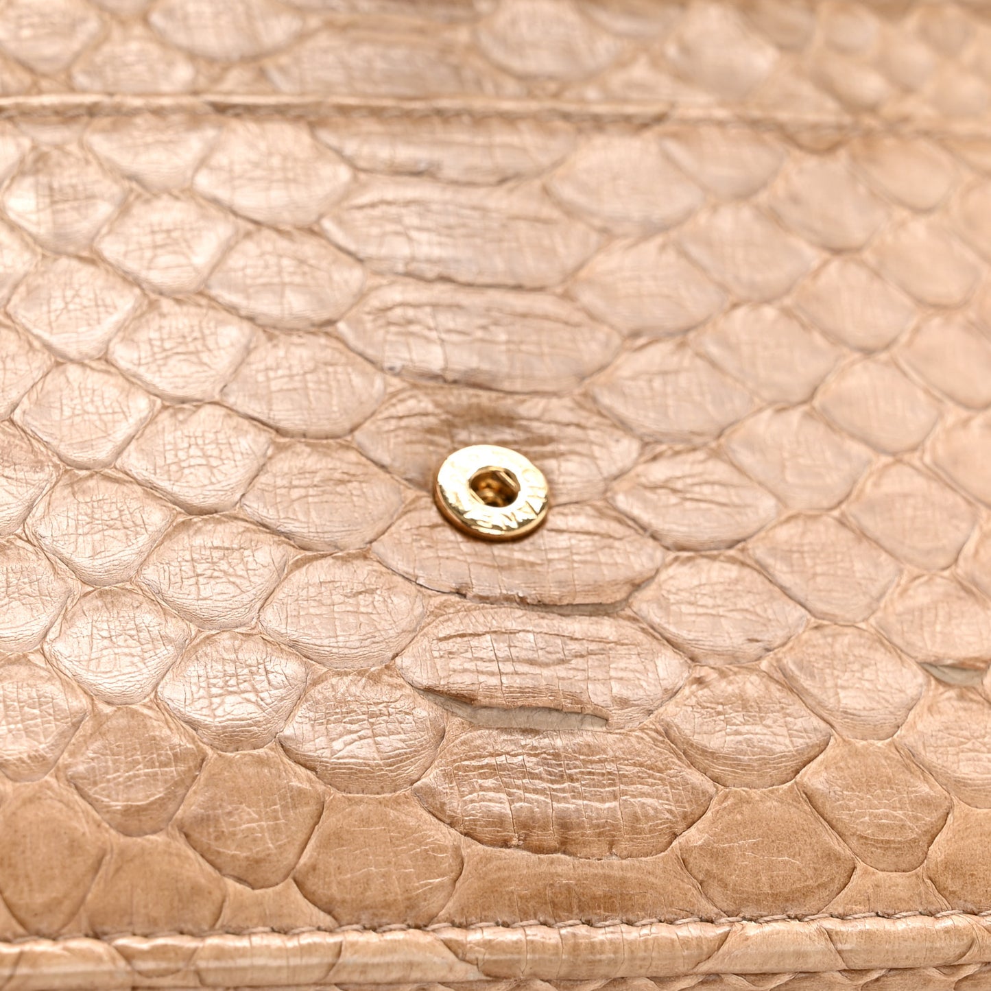 Snakeskin Wallet On Chain WOC Beige