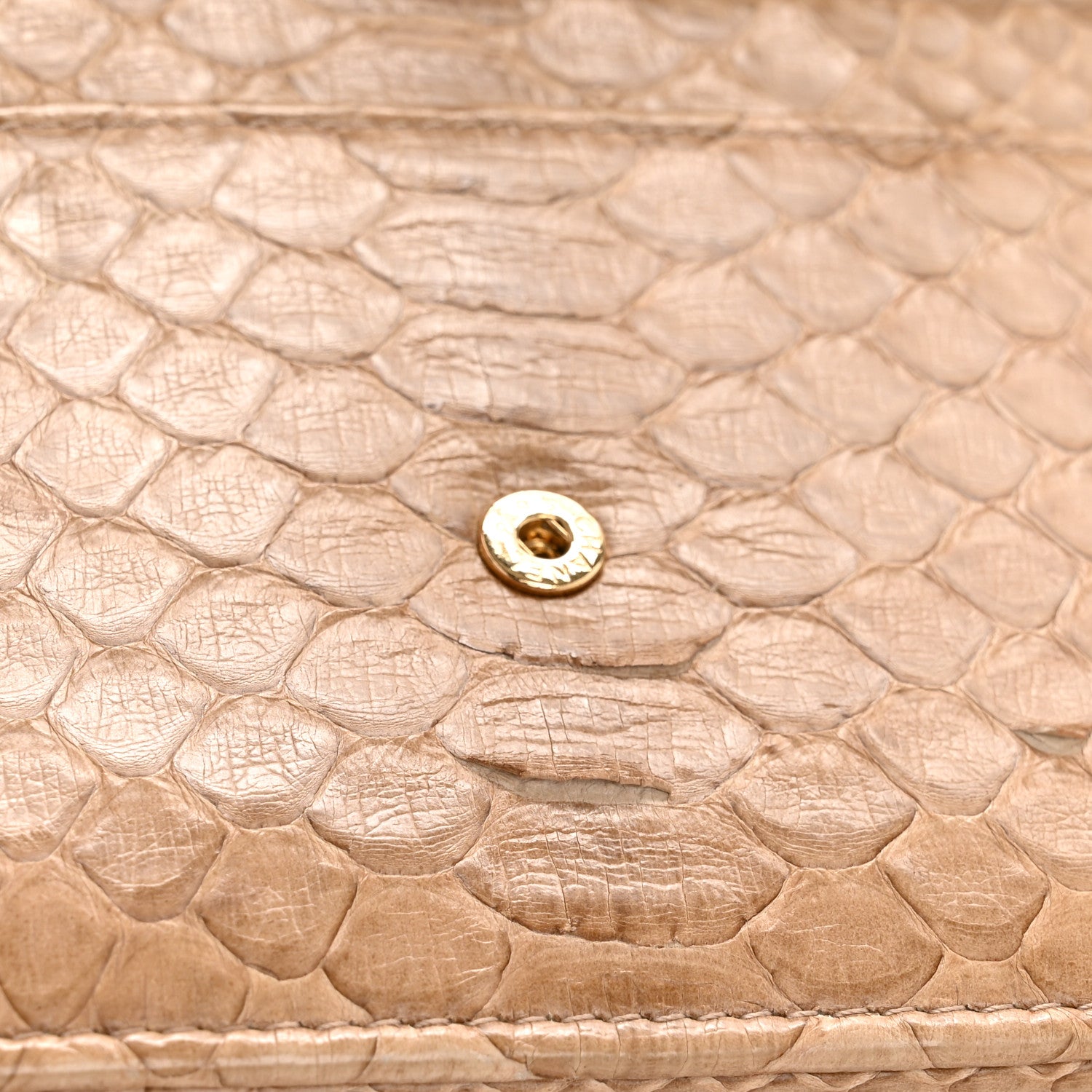 Chanel Snakeskin Wallet On Chain WOC Beige 13 of 15