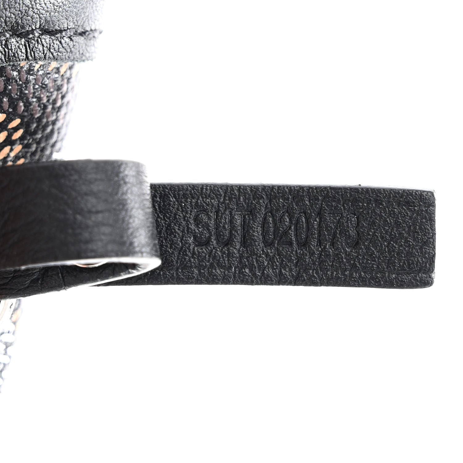 Goyard Goyardine Saint Louis GM Black 9 of 16