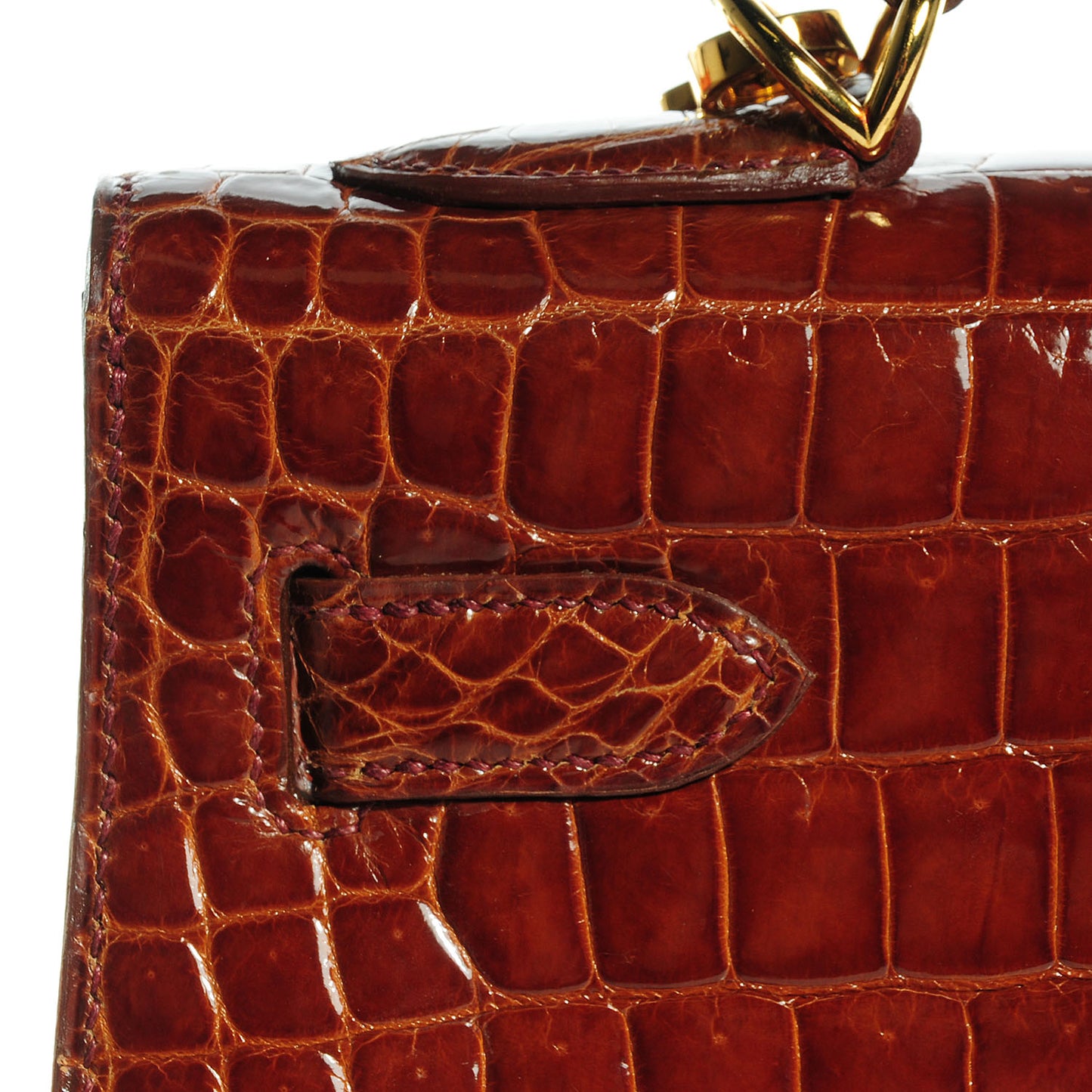 Shiny Porosus Crocodile Kelly Sellier 32 Miel