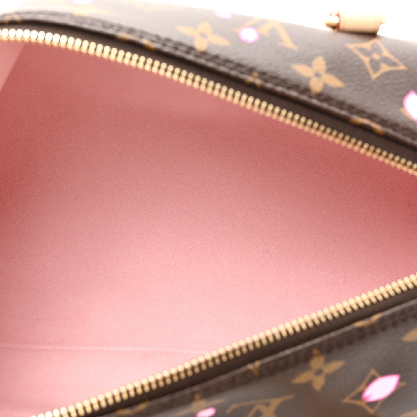 LV X TM Monogram Cherry Blossom Papillon Sakura Brown
