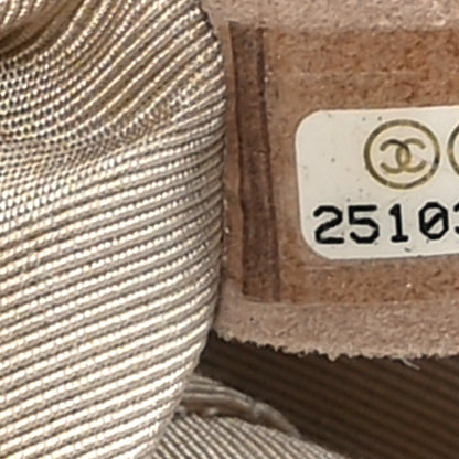 Chanel Metallic Calfskin Quilted Small XXL Travel Flap Bag Gold 7 of 9