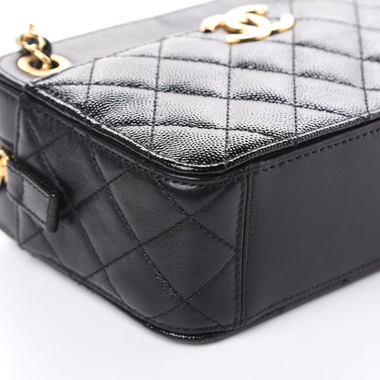 Chanel Metallic Lambskin Grained Calfskin Quilted Camera Case Black 8 of 10