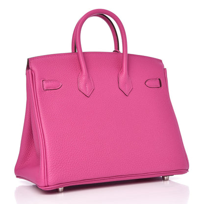 Hermes Togo Birkin 25 Magnolia 3 of 33