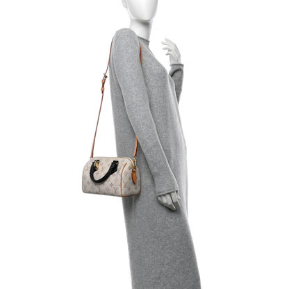 Louis Vuitton Monogram Dune Speedy Bandouliere 20 2 of 10