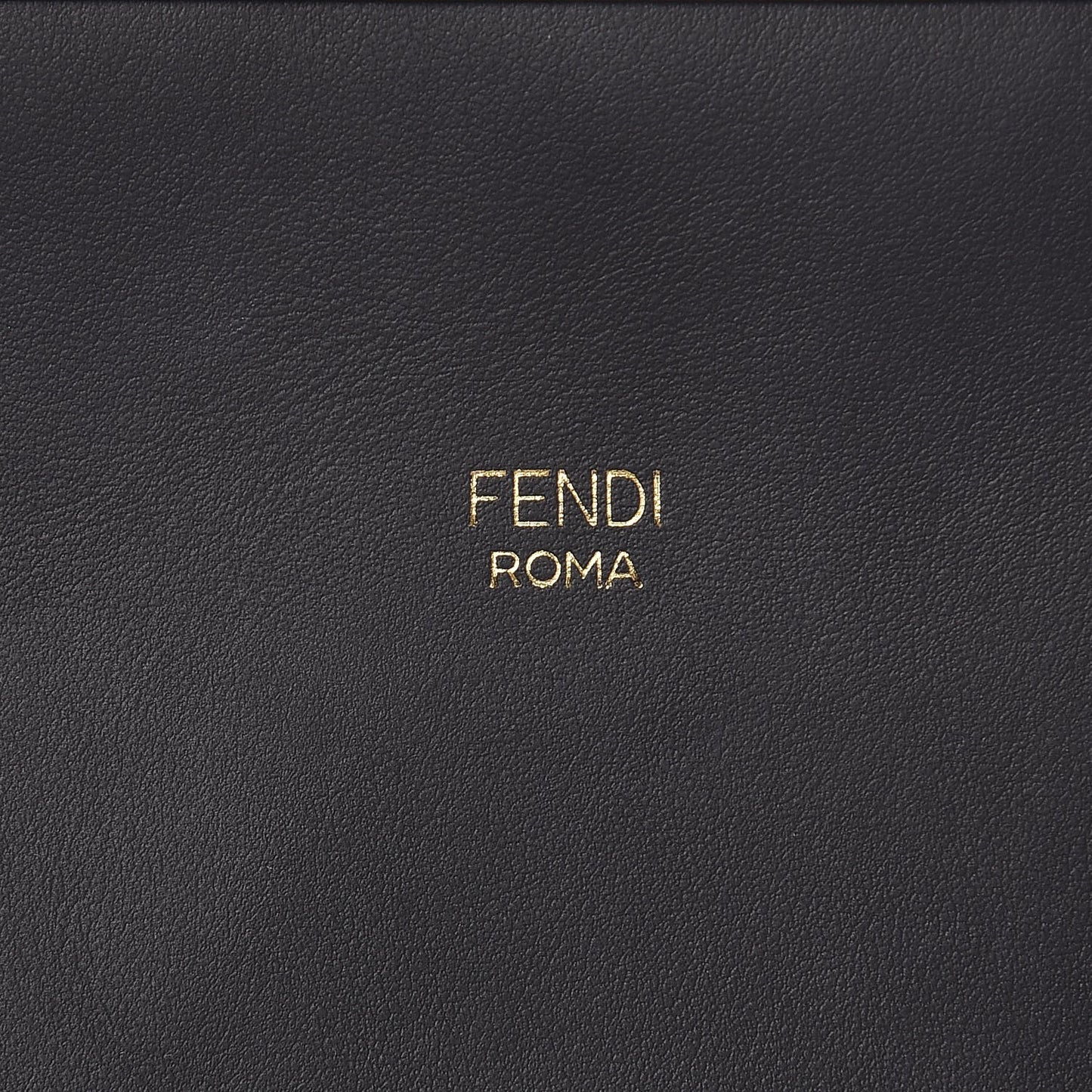 Vitello Century Opaco F is Fendi Camera Case Black