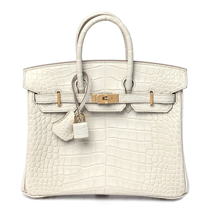 Hermes Matte Alligator Birkin 25 Beton 1 of 10