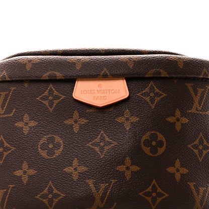 Louis Vuitton Monogram Bumbag 7 of 9