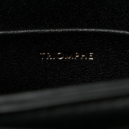 Celine Shiny Calfskin Besace Clea Chain Triomphe Black 7 of 11