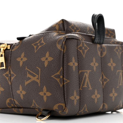 Louis Vuitton Monogram Palm Springs Backpack Mini 9 of 11