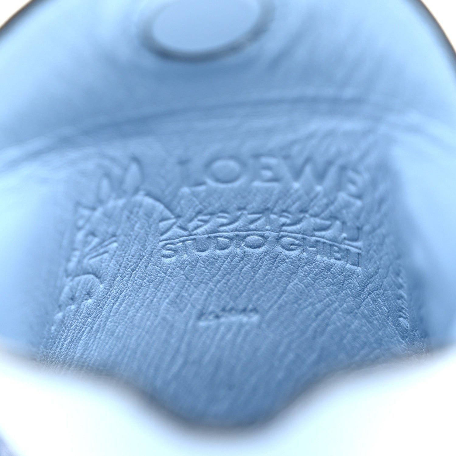 Loewe X MY NEIGHBOR TOTORO Calfskin Gate Pocket Blue Tan Multicolor 7 of 10