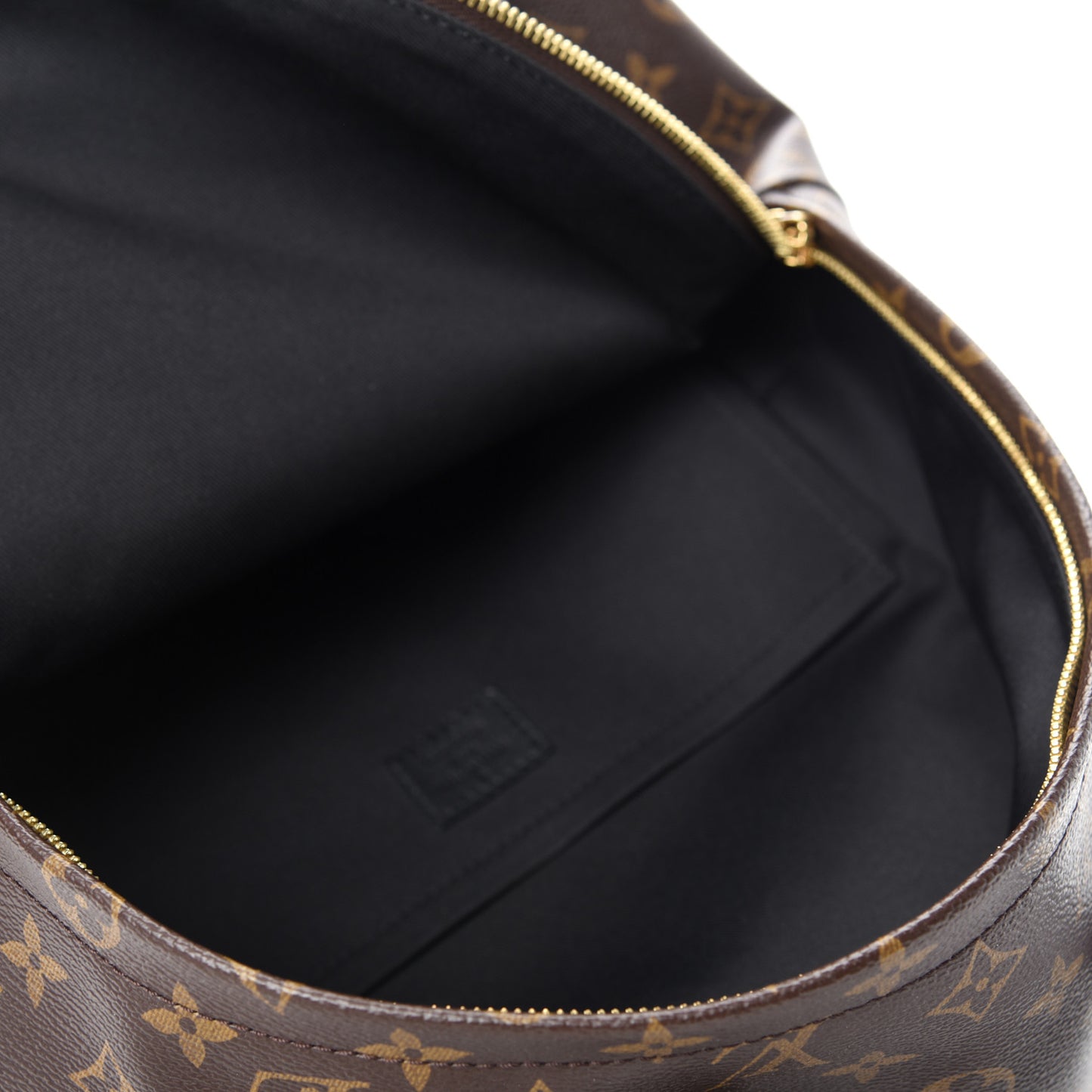Monogram Palm Springs Backpack MM