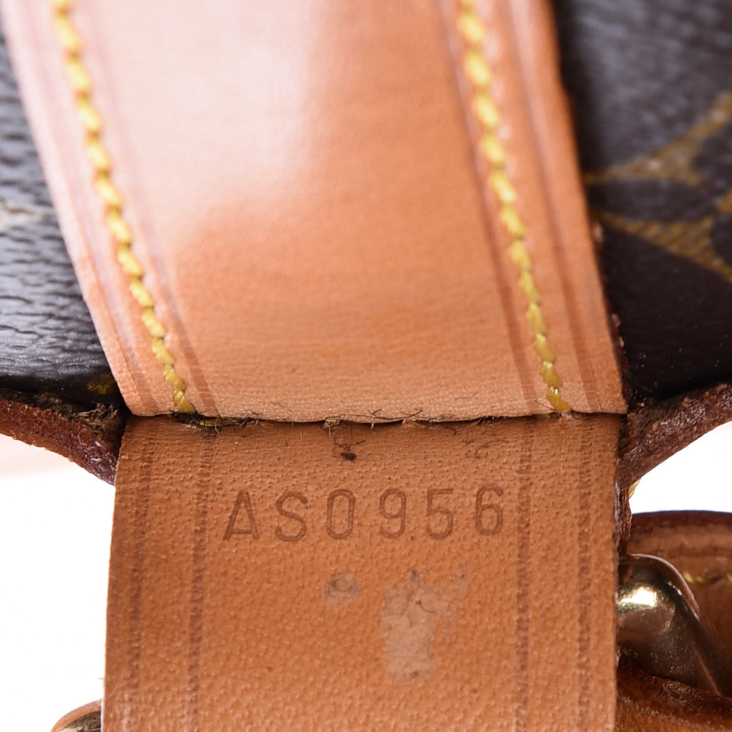 Monogram Randonnee GM Backpack