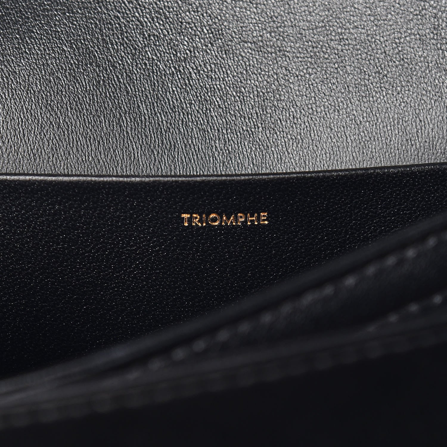 Celine Textile Natural Calfskin Large Triomphe Black 6 of 9