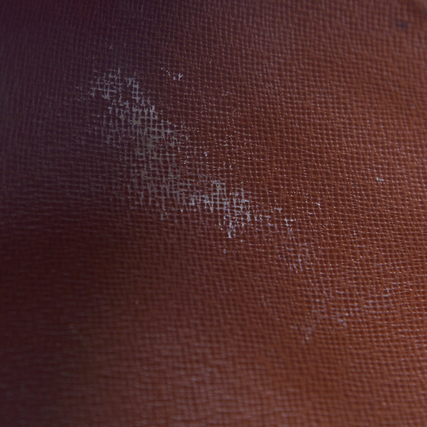 Monogram Papillon 26