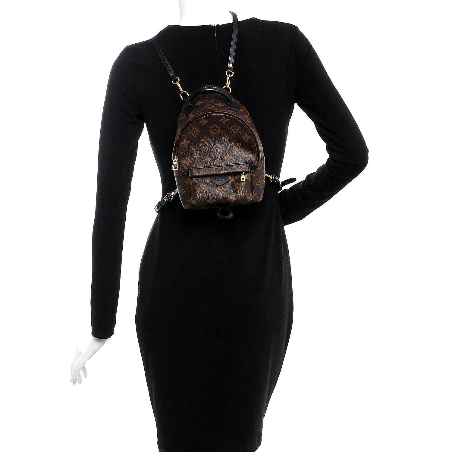 Louis Vuitton Monogram Palm Springs Backpack Mini 2 of 6