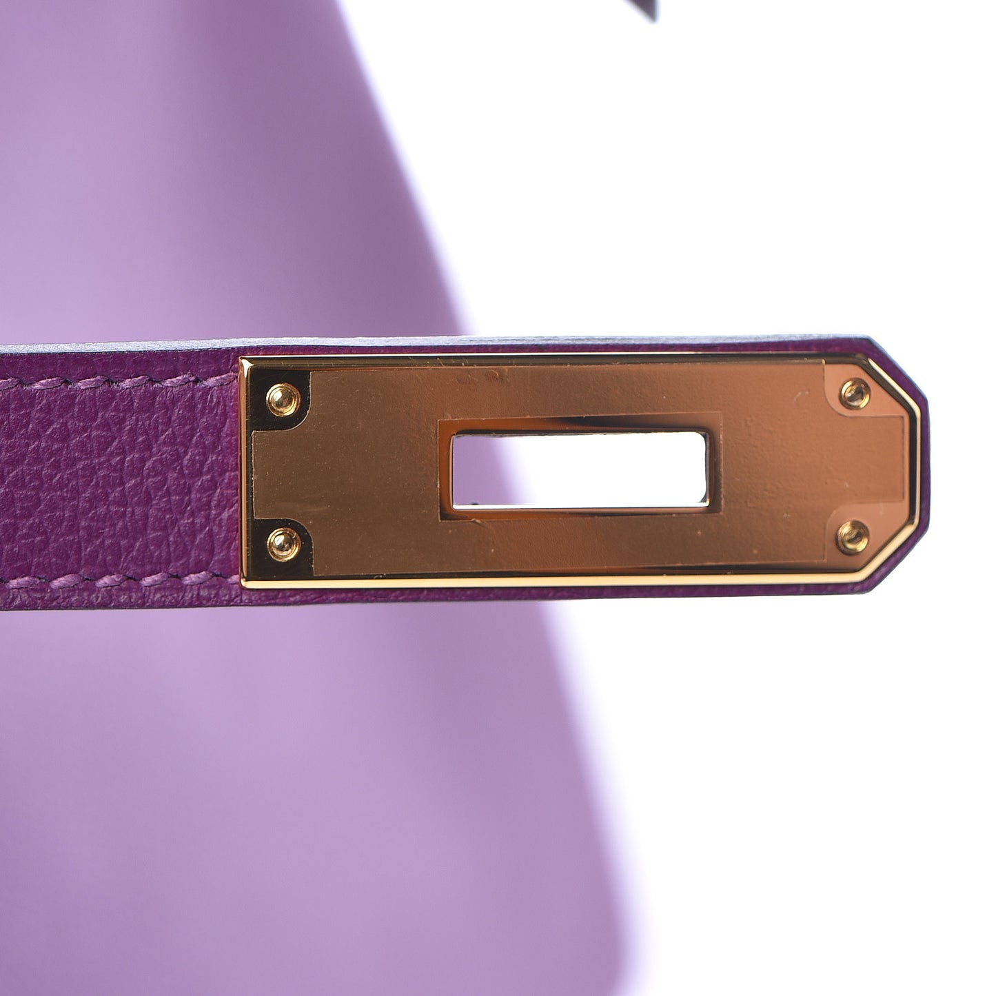 Evercolor Kelly Retourne 28 Anemone
