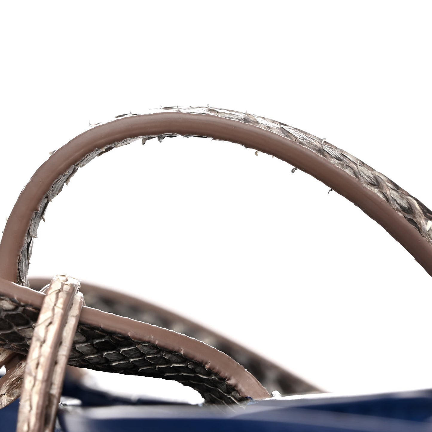 Calfskin Snakeskin Handle Addict Shopping Tote Blue