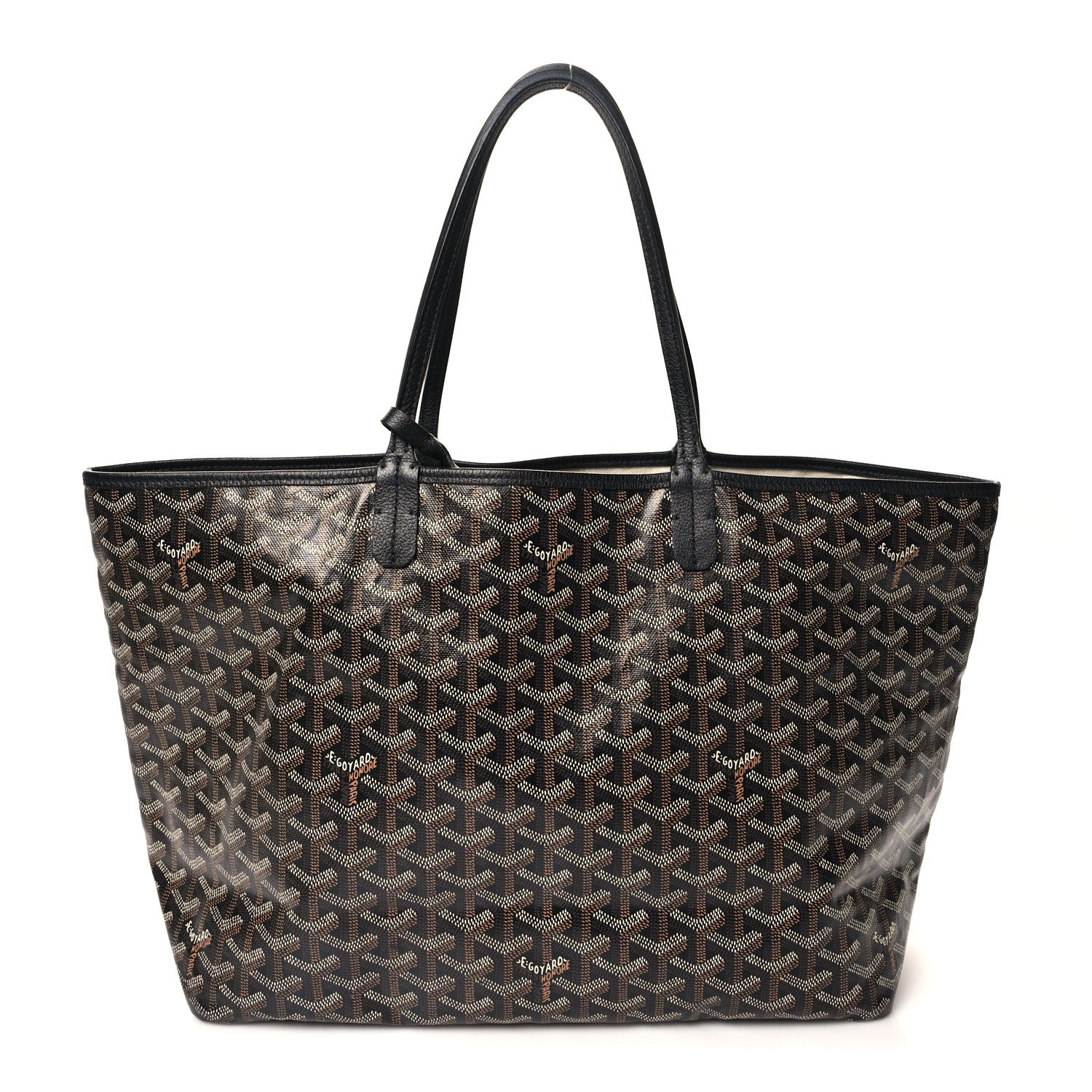 Goyard Goyardine Saint Louis PM Black 1 of 10