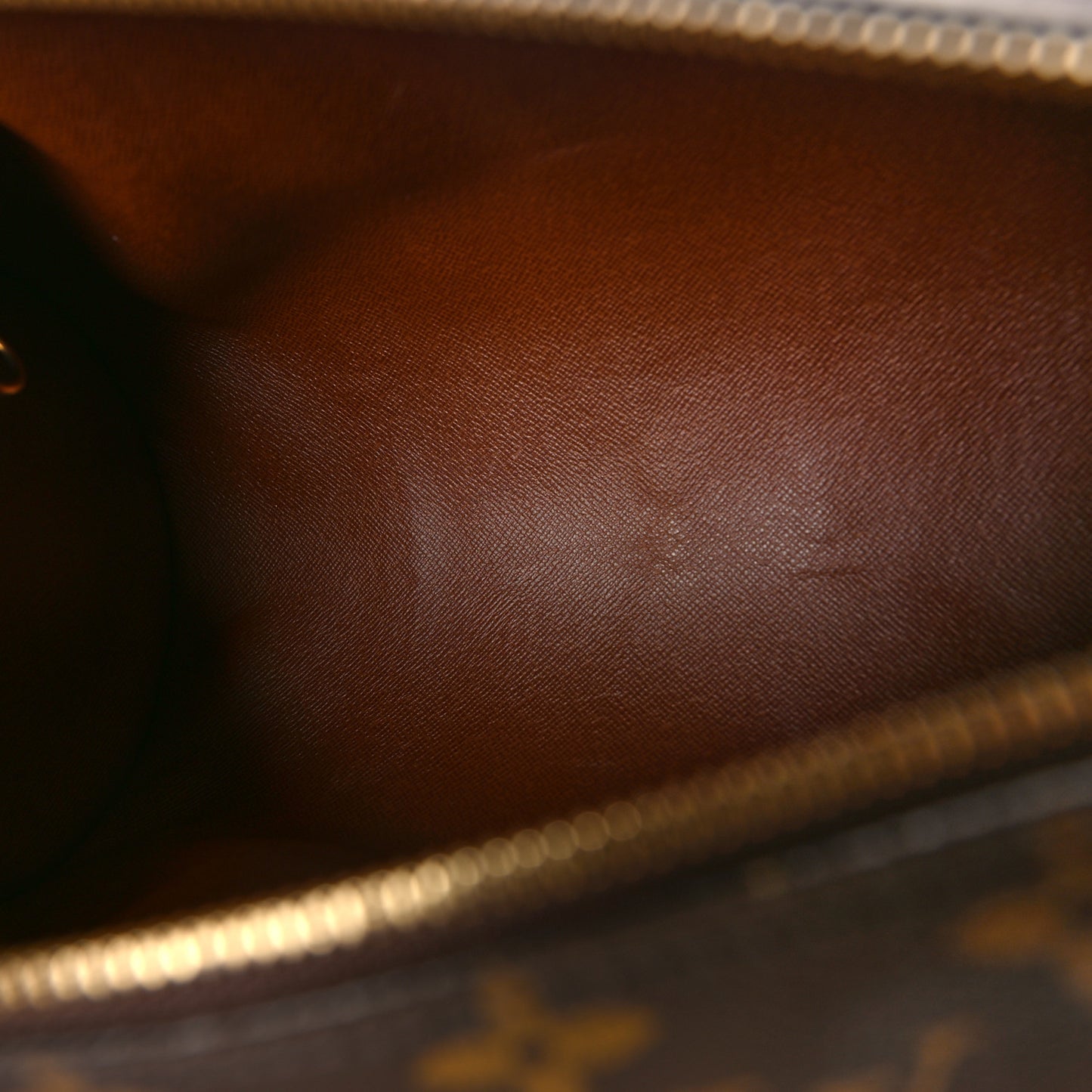 Monogram Papillon 30 with Companion