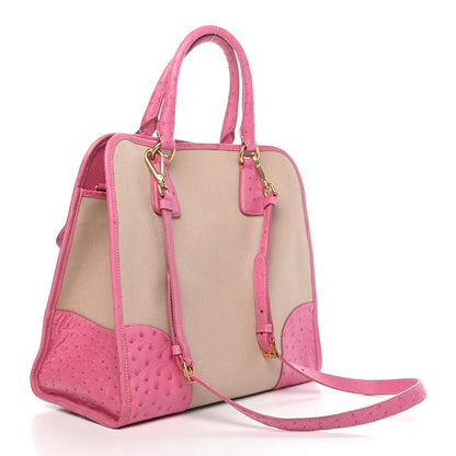 Prada Canapa Ostrich Shopping Tote Corda Geranio 3 of 10